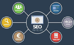 广东网站SEO 优化  推广